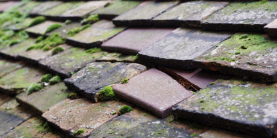 Maindee roof repair costs